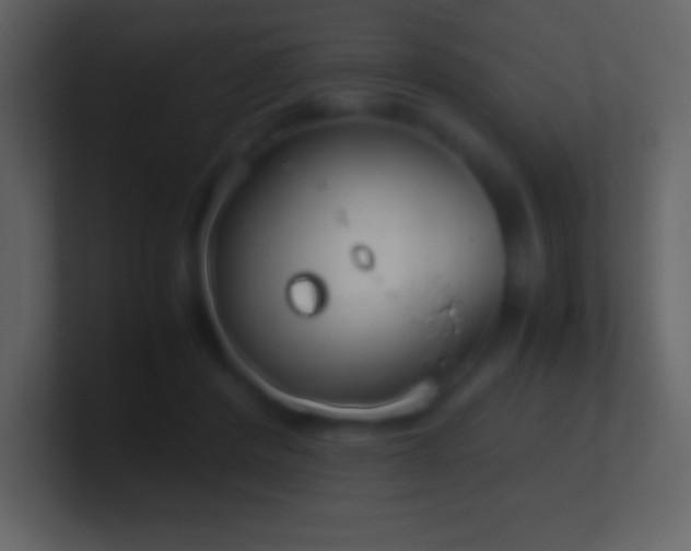 X0000101430408200807071346