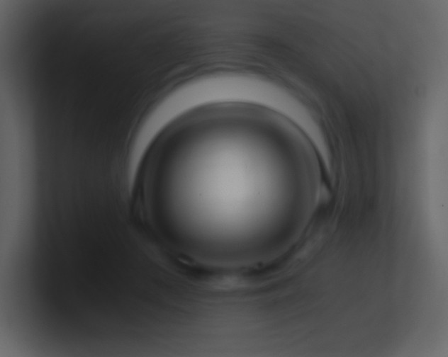 X0000101430409200807071346