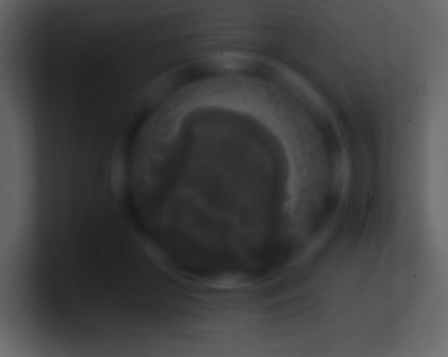 X0000101430410200807071346