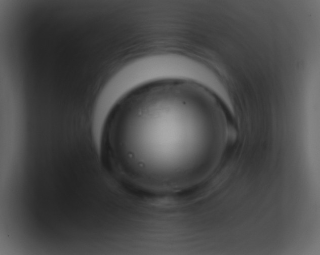 X0000101430411200807071346