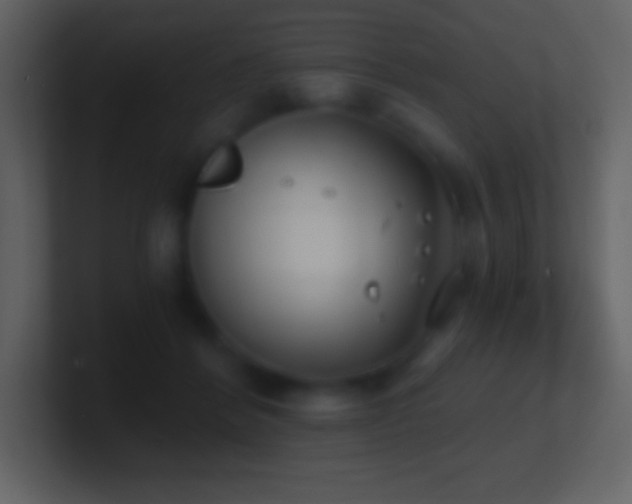 X0000101430412200807071346