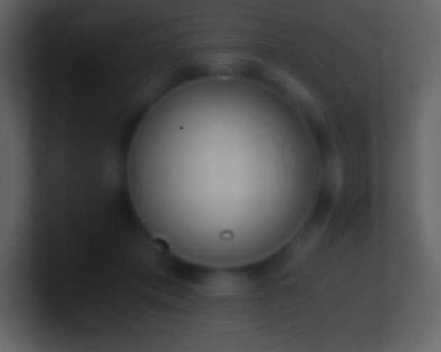 X0000101430413200807071346