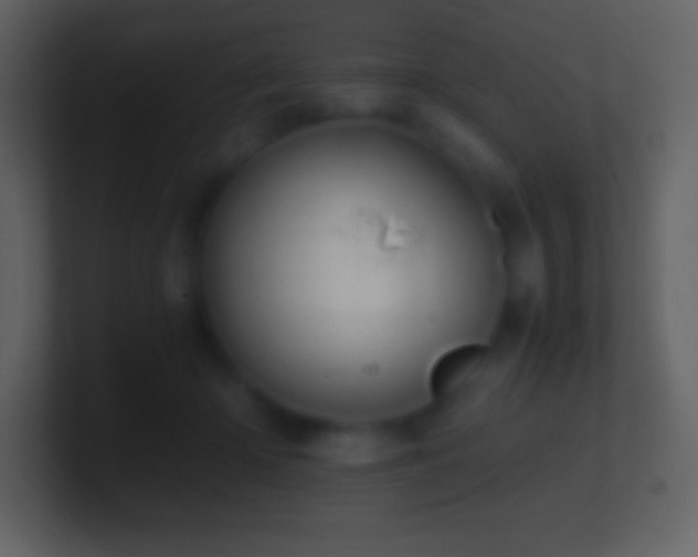 X0000101430414200807071346