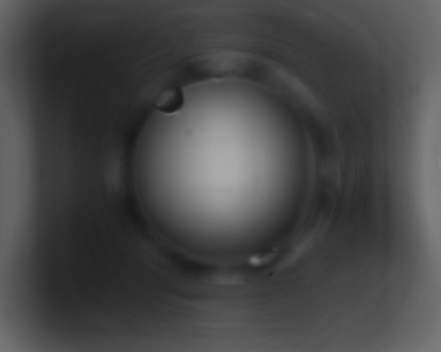 X0000101430416200807071346