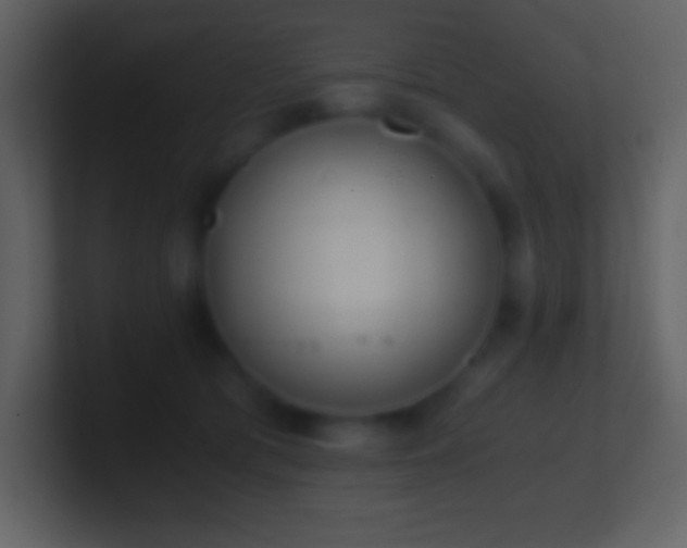 X0000101430417200807071346