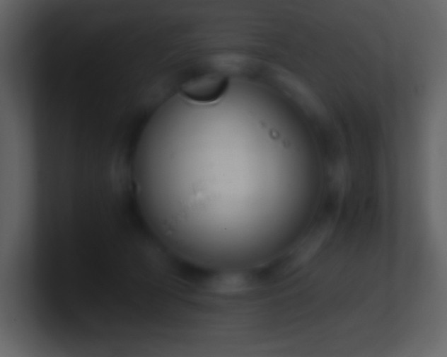 X0000101430418200807071346