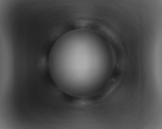 X0000101430420200807071346