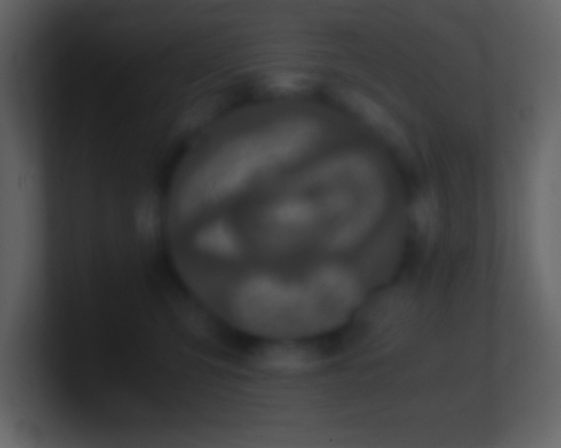 X0000101430423200807071345