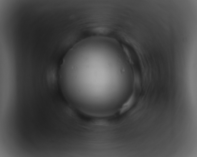 X0000101430424200807071345