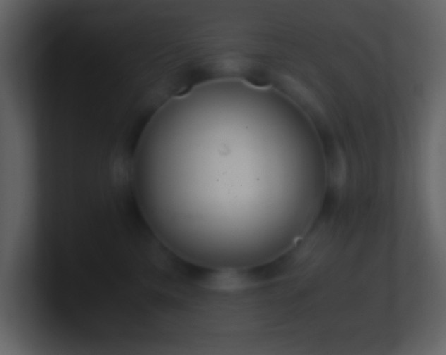 X0000101430425200807071345