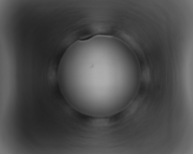 X0000101430426200807071345