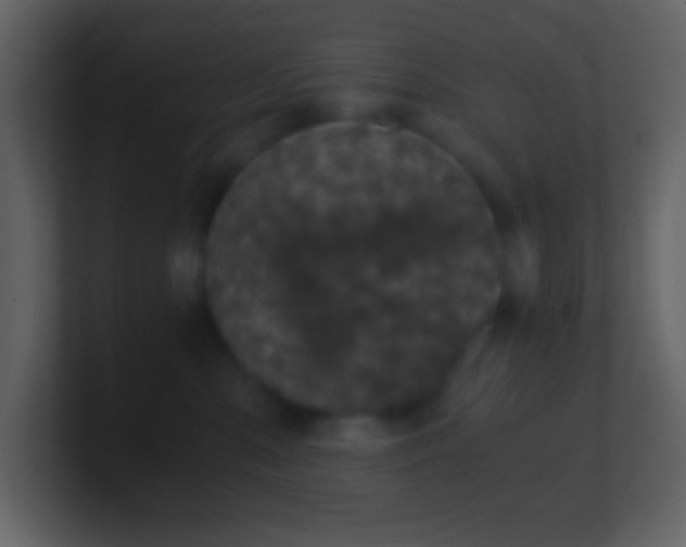 X0000101430427200807071345