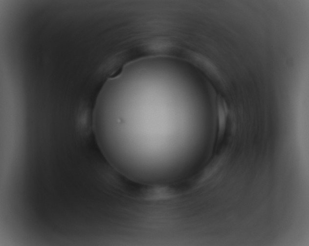 X0000101430428200807071345
