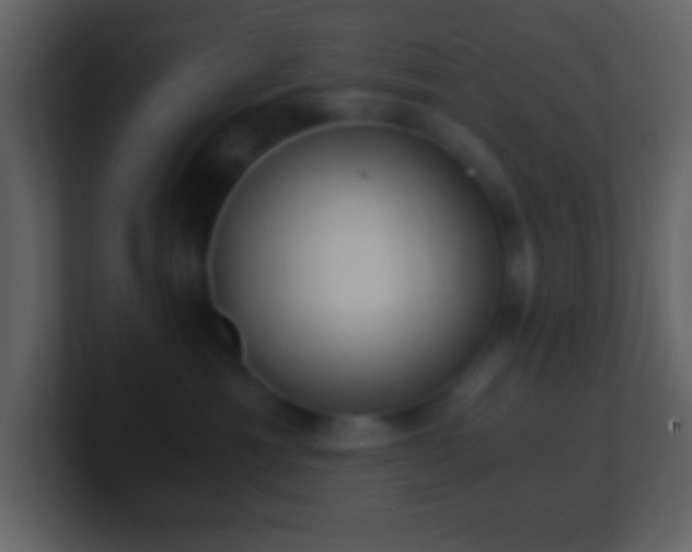 X0000101430429200807071345