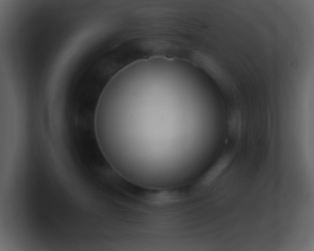 X0000101430430200807071345