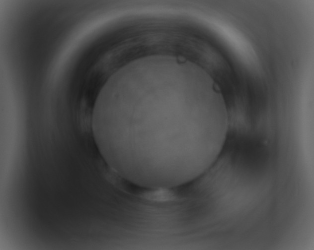 X0000101430431200807071345