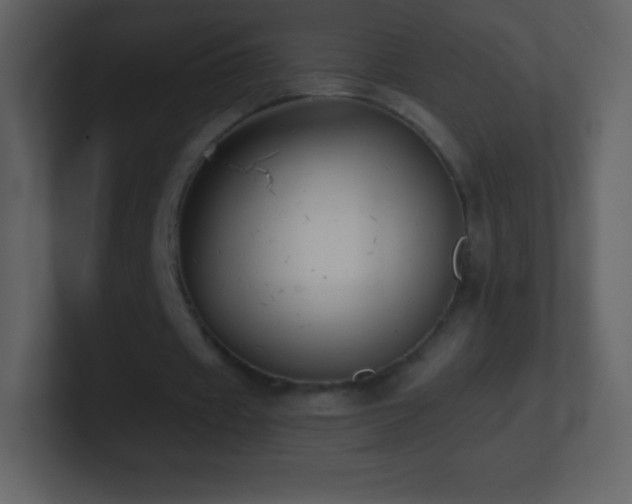 X0000101430433200807071345