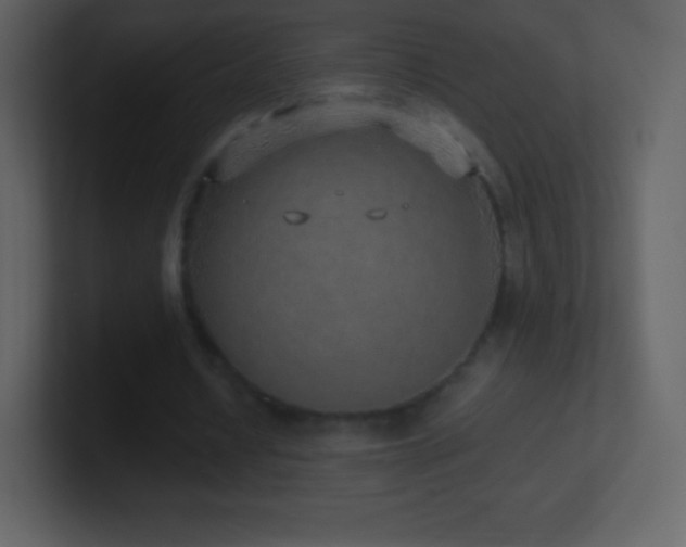 X0000101430434200807071345