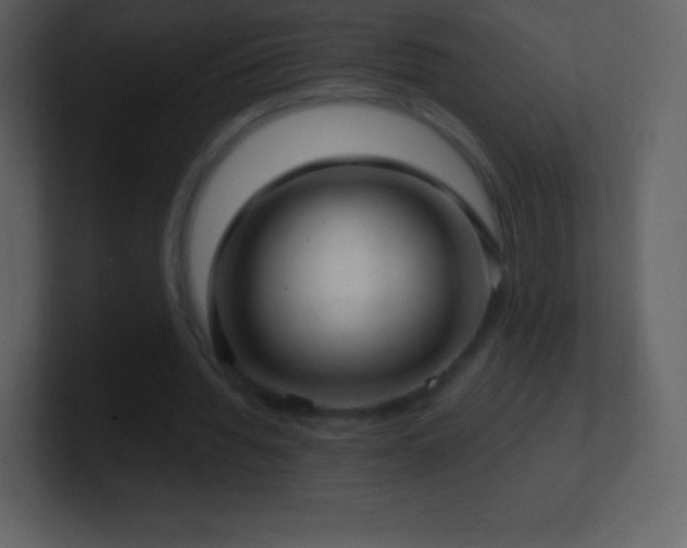 X0000101430436200807071345