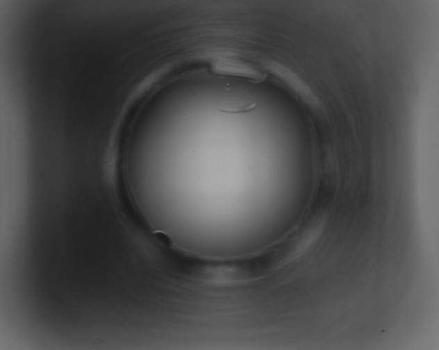X0000101430440200807071345
