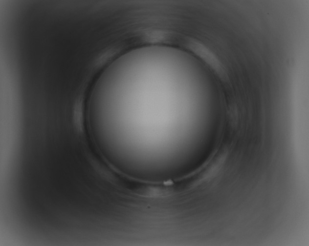 X0000101430442200807071345