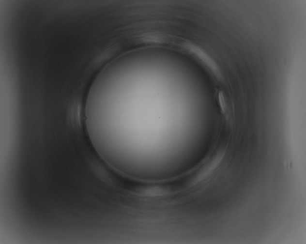 X0000101430445200807071345