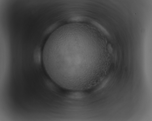 X0000101430446200807071345