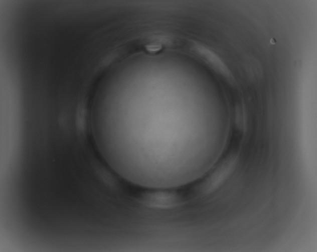 X0000101430449200807071345
