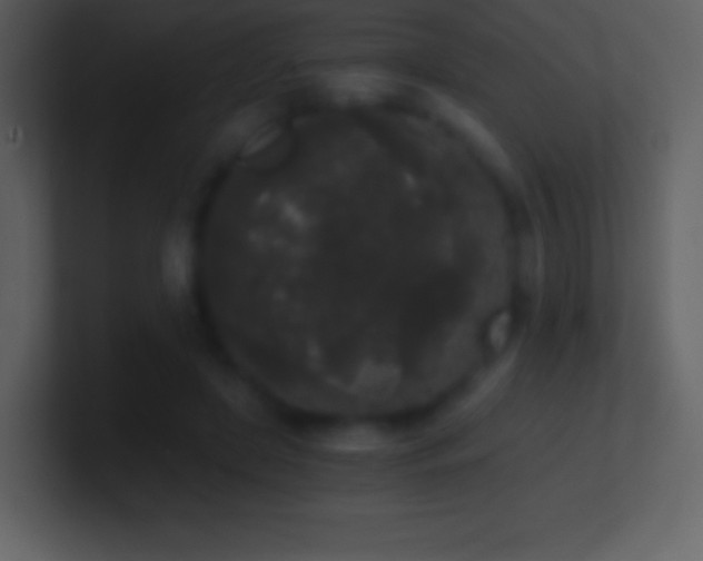 X0000101430451200807071345