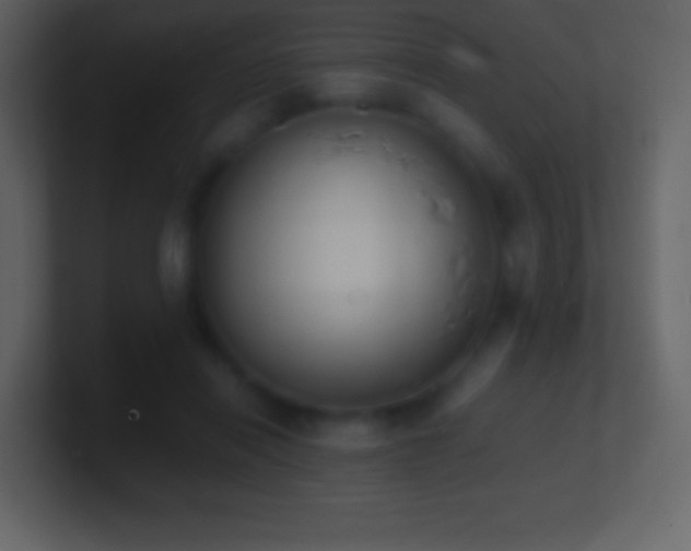 X0000101430454200807071345