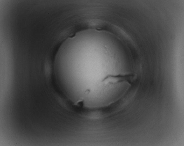X0000101430456200807071345