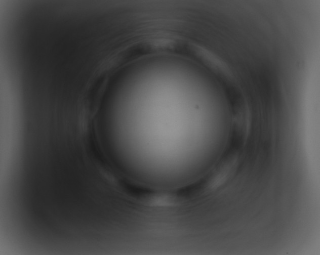 X0000101430462200807071345