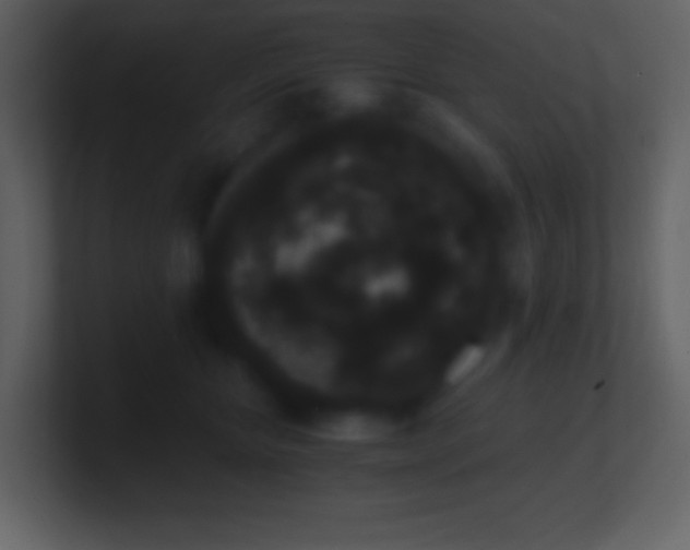 X0000101430467200807071345