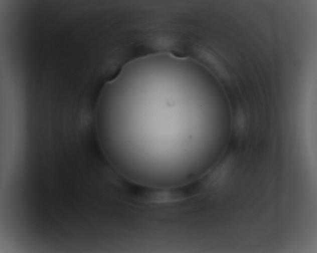 X0000101430473200807071345