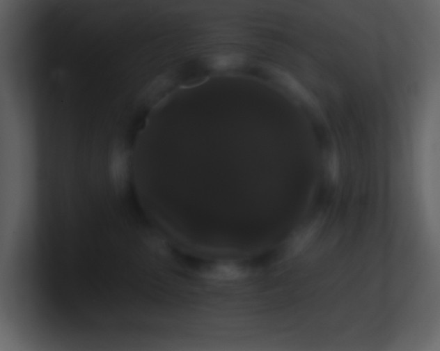 X0000101430475200807071345