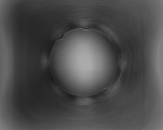 X0000101430476200807071345