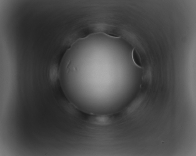 X0000101430478200807071345