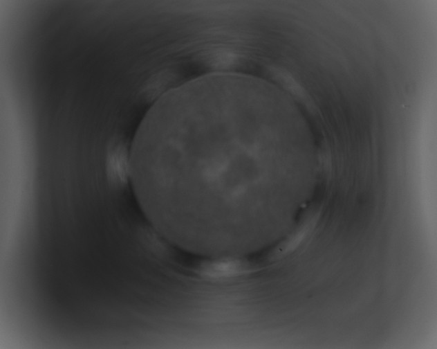 X0000101430479200807071345