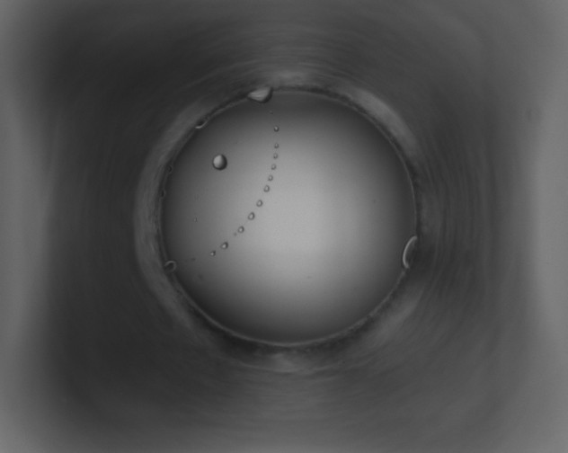 X0000101430481200807071345
