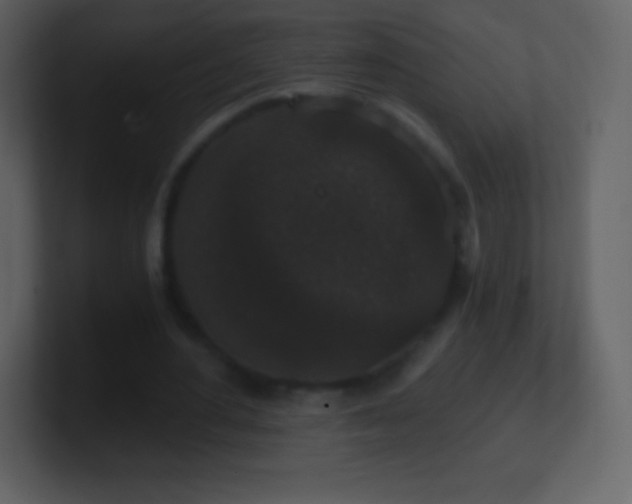 X0000101430484200807071345