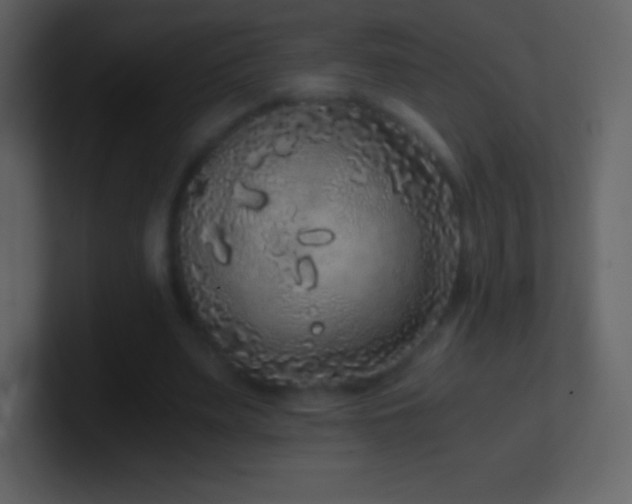 X0000101430487200807071345