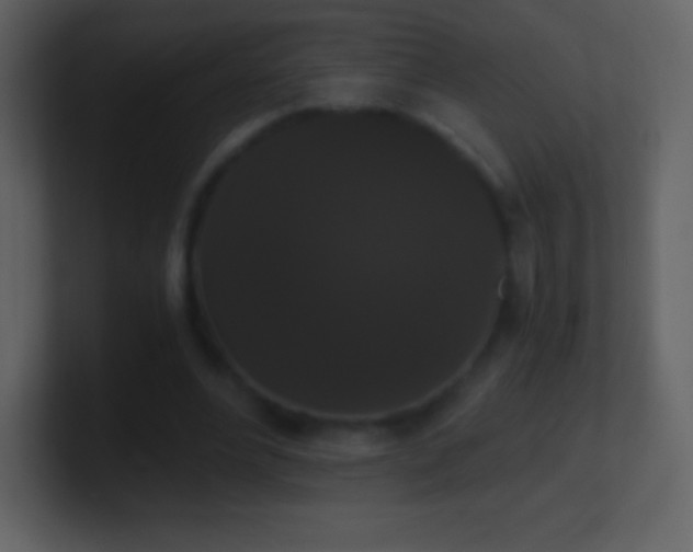 X0000101430488200807071345