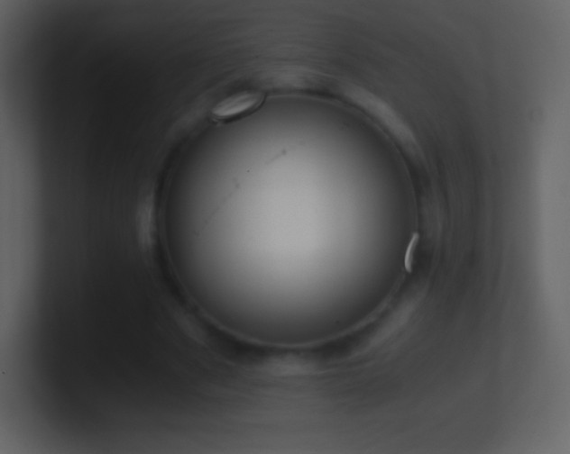 X0000101430489200807071345