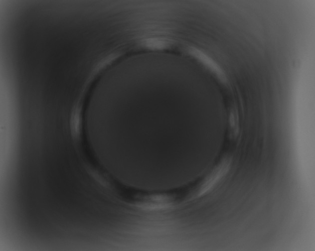 X0000101430492200807071345
