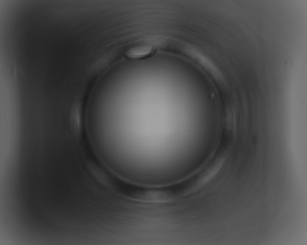 X0000101430493200807071345