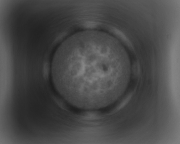 X0000101430495200807071345