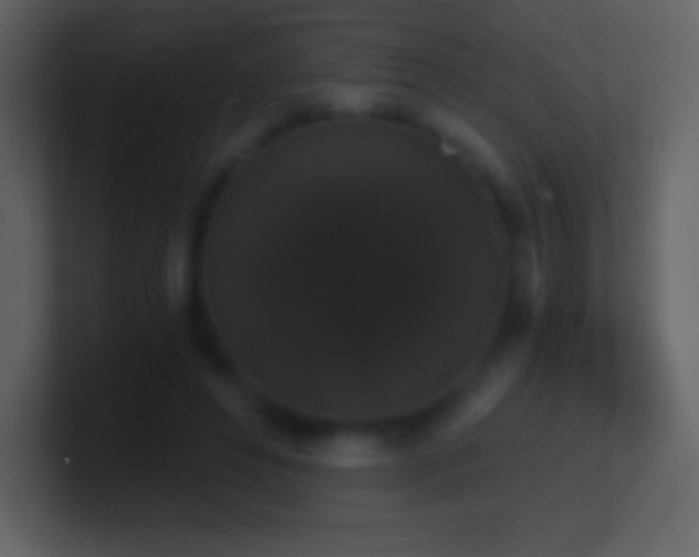 X0000101430496200807071345