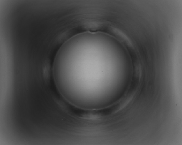 X0000101430498200807071344