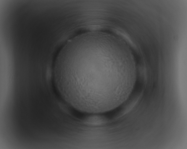 X0000101430499200807071344
