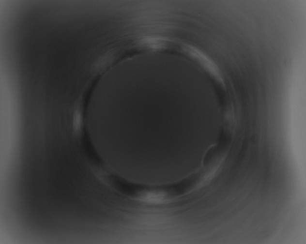 X0000101430500200807071344